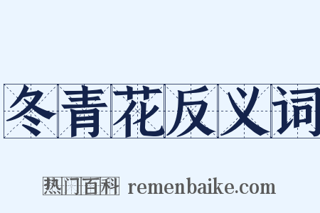 冬青花反义词是什么意思的图片